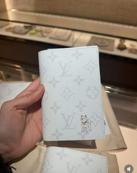 Picture of Louis Vuitton Wallets _SKUfw220573475fw